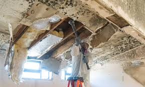 Reliable Woonsocket, RI Mold Inspection Solutions